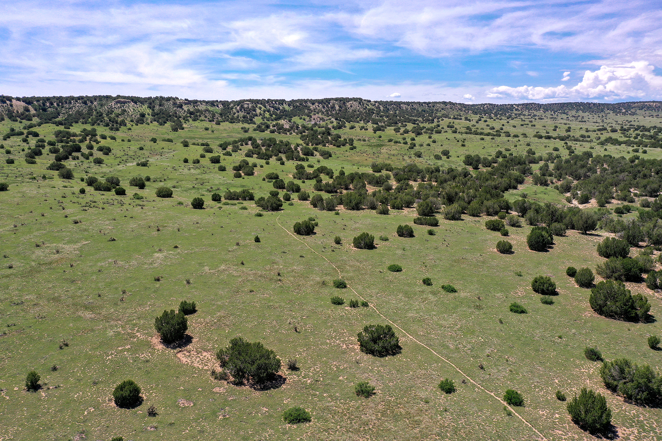 Burnt Mill Ranch – 643± Acres of Prime Colorado Ranchland