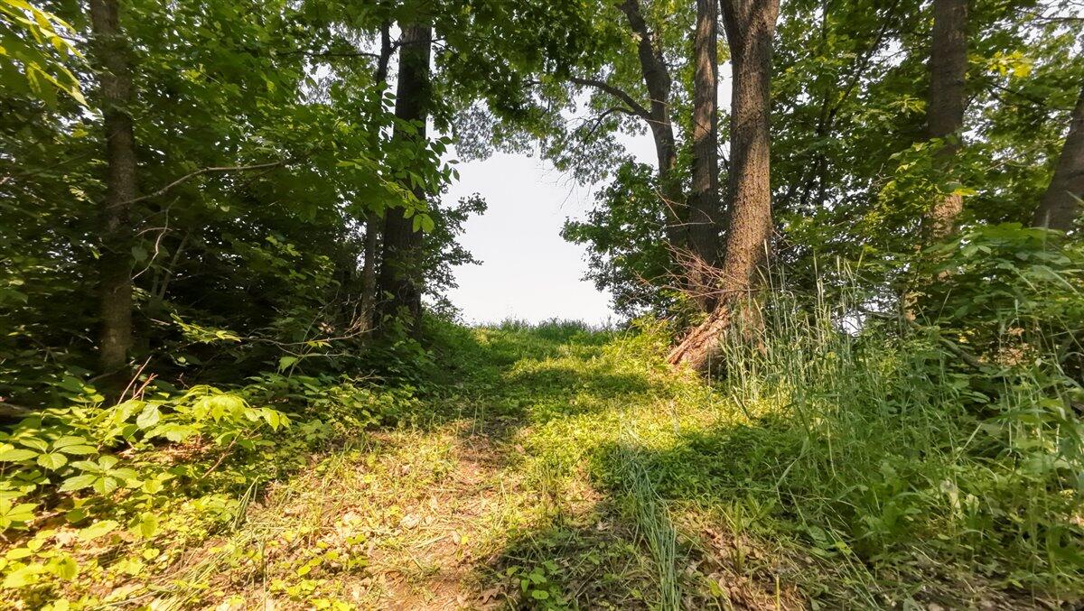 Twenty-One-Acre Hidden Gem in Vernon County WI