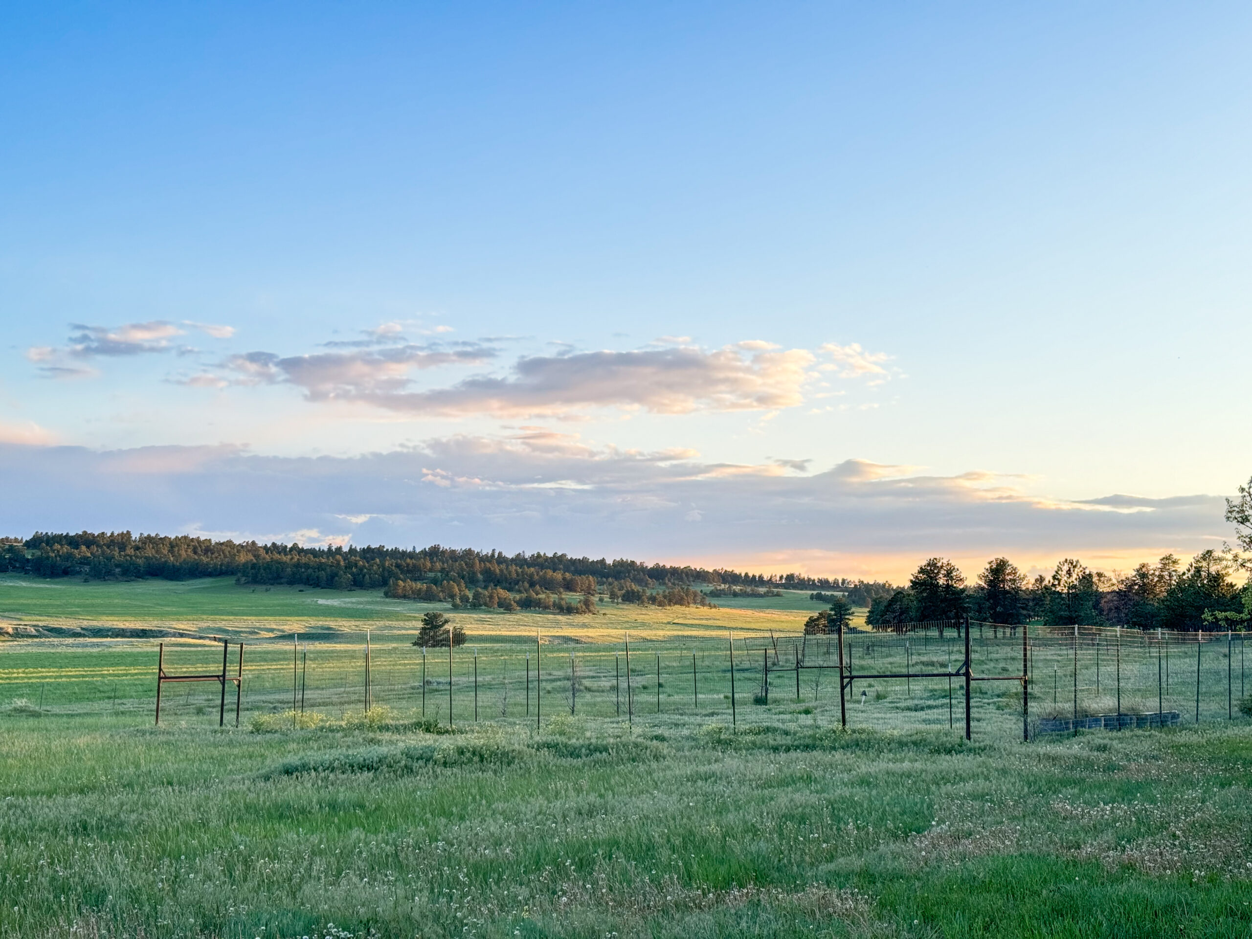 Buffalo Creek Ranch