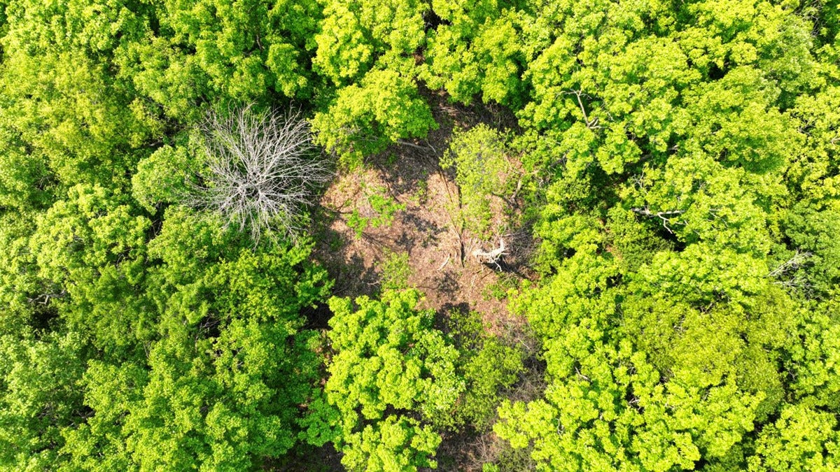 Twenty-One-Acre Hidden Gem in Vernon County WI