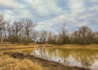293 +/- acre hunting property for sale Lowry City MO