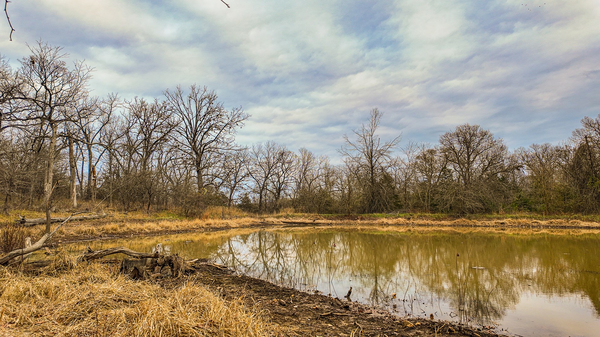 293 +/- acre hunting property for sale Lowry City MO