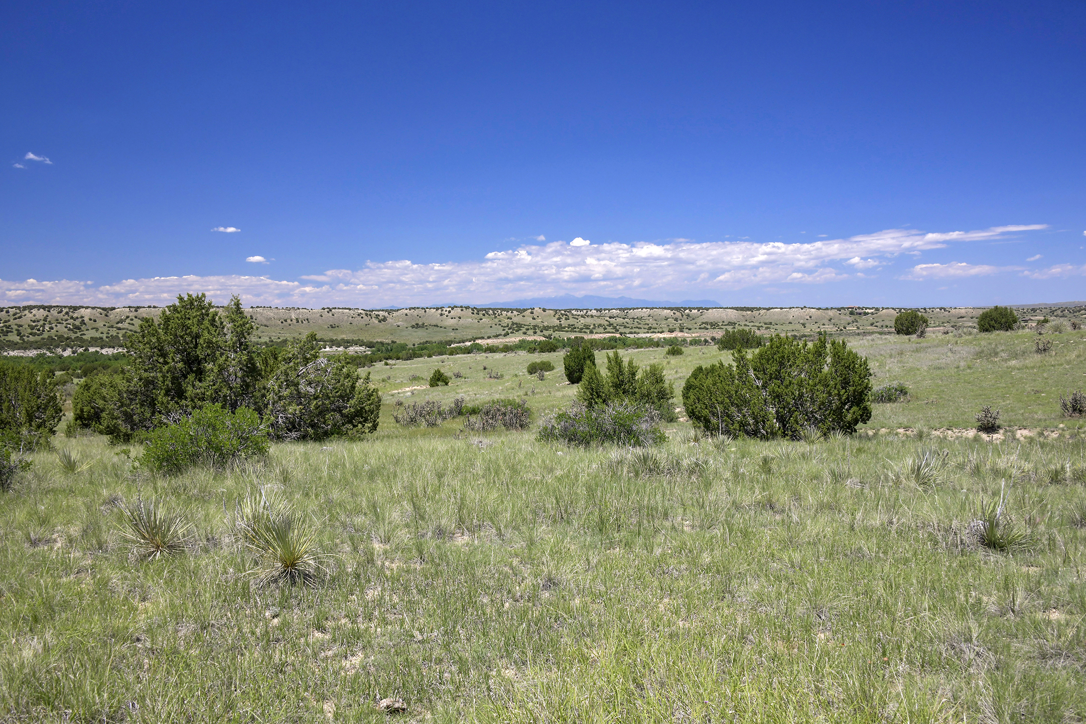 Burnt Mill Ranch – 643± Acres of Prime Colorado Ranchland