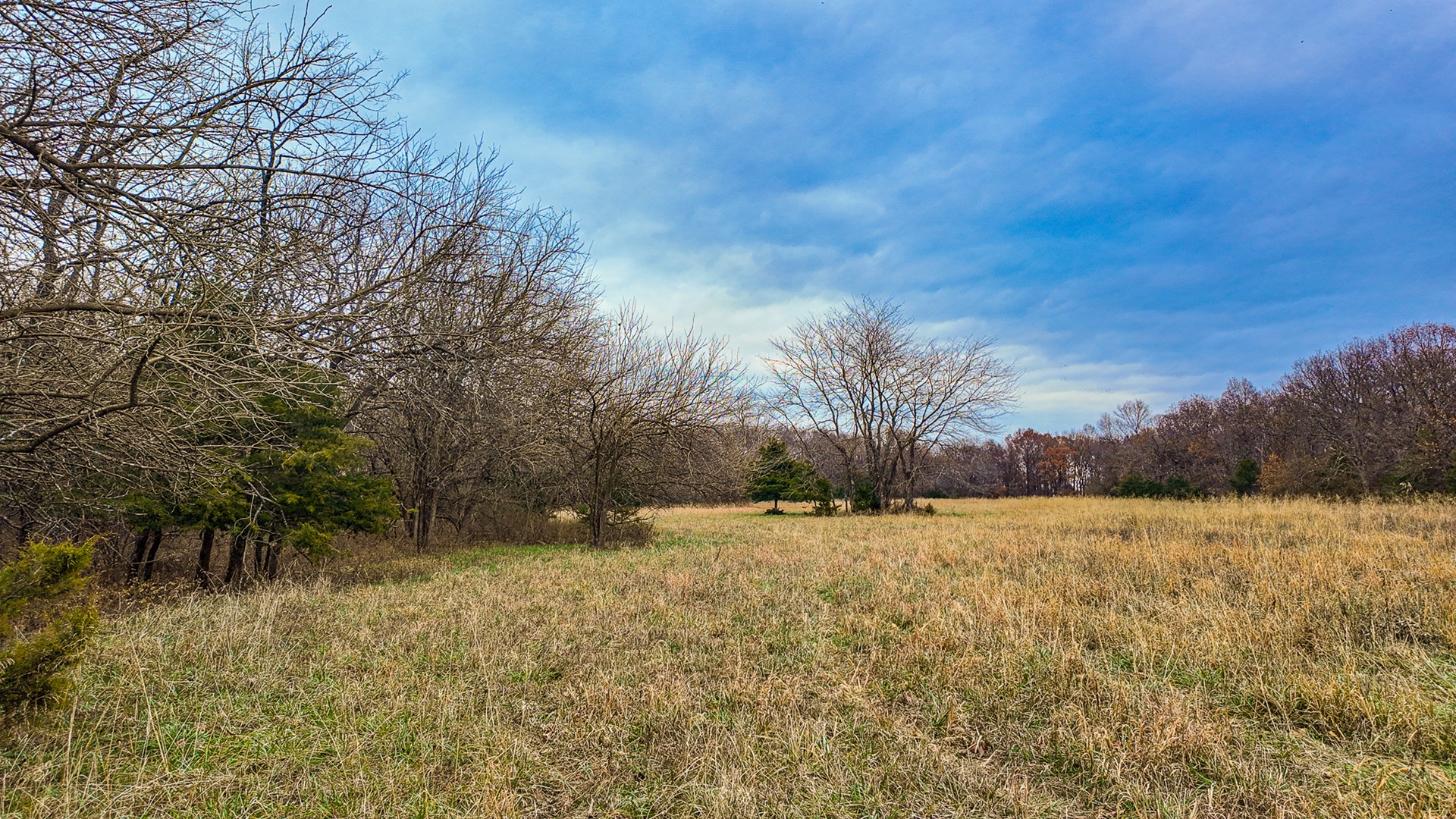 293 +/- acre hunting property for sale Lowry City MO