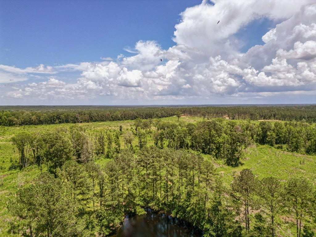 Land for Sale in Amite County, MS