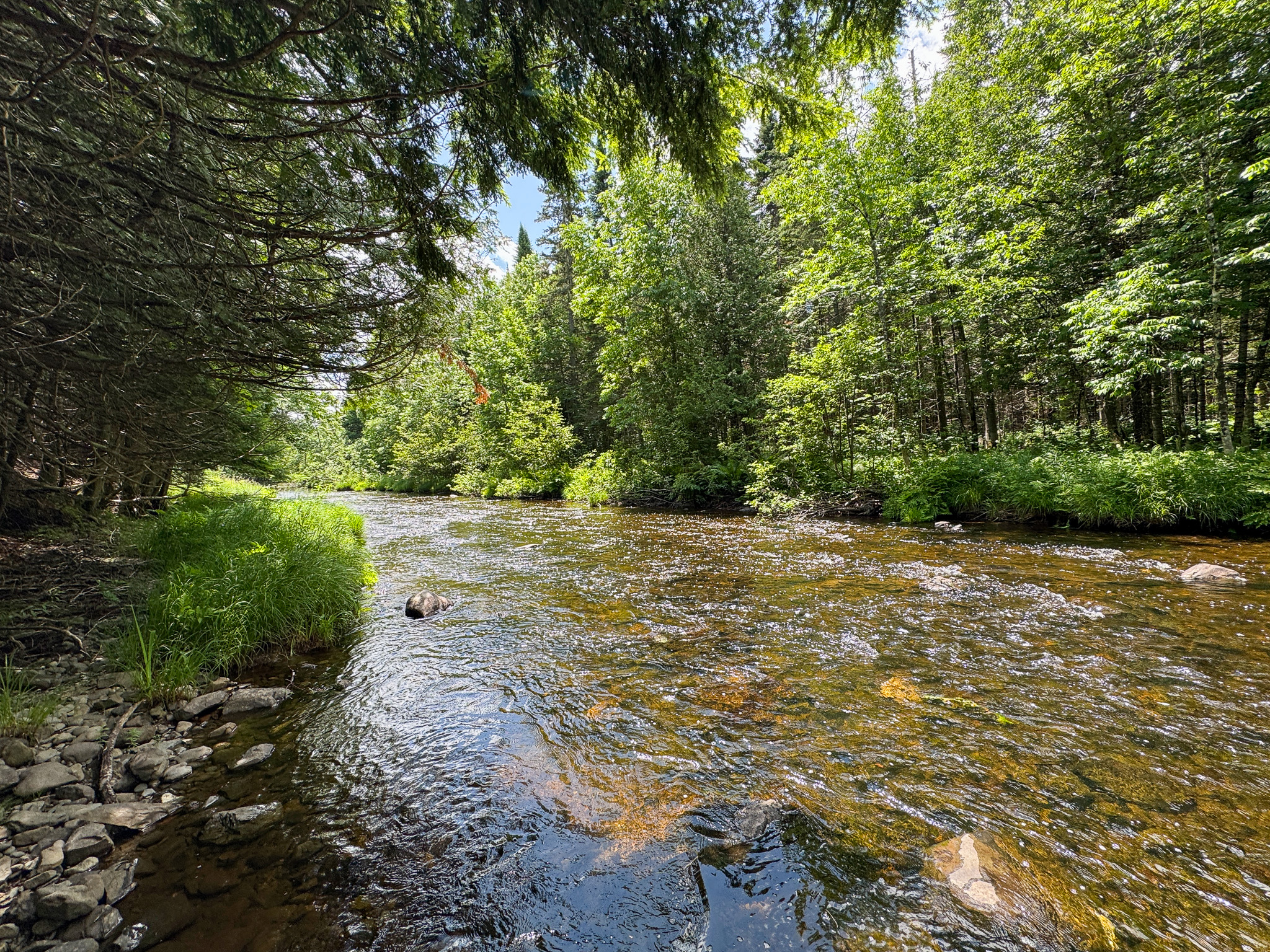 Private Cabin Retreat on 20 Acres with Stream Frontage