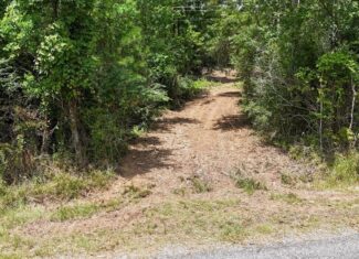 Small Hunting Tract FOR SALE in Amite County, MS