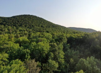 80± Acres of Off-Grid Mountain Land in Mount Chase, Maine