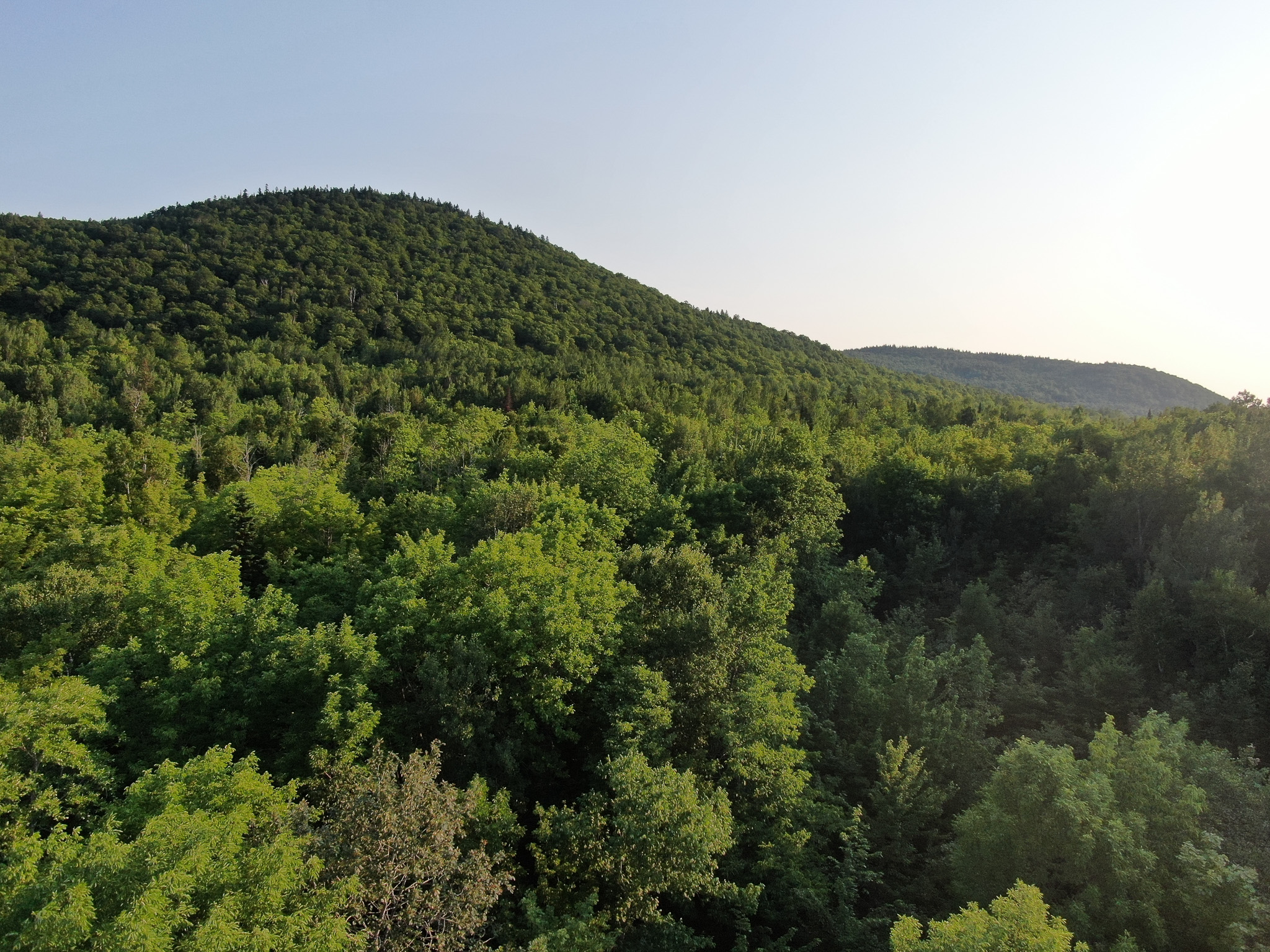 80± Acres of Off-Grid Mountain Land in Mount Chase, Maine