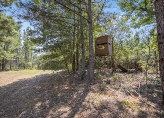 Amite County Hunting Land – The Winding 41