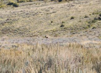 Colorado Hunting and Recreation Land