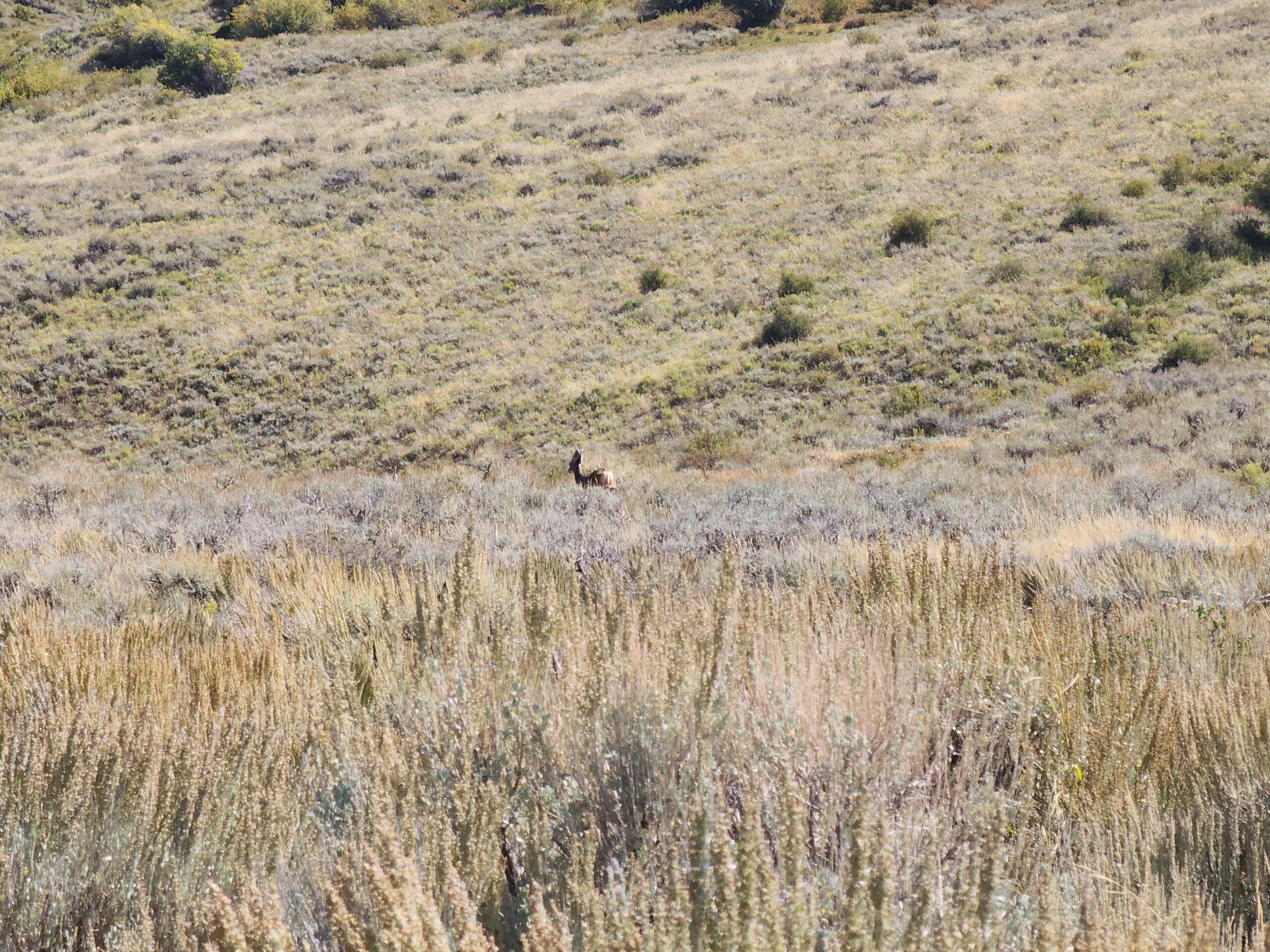 Colorado Hunting and Recreation Land