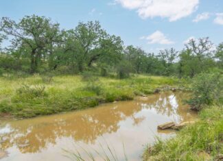 Country Ranch and hunting paradise on 333.17 acres in San Saba County for sale