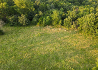 Land For Sale Barton County, MO 160± acres