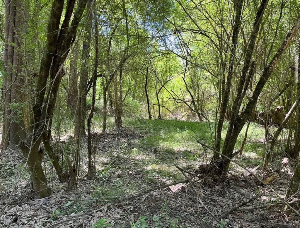 Hunting Land for Sale Near Gloster, Mississippi