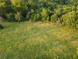Land For Sale Barton County, MO 160± acres