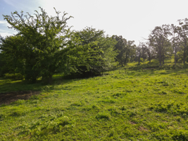 142+\- acres  For Sale El Dorado Springs MO