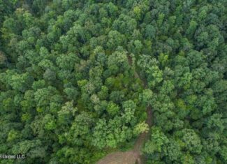 95 Acres of Prime Hunting Property in Hinds County