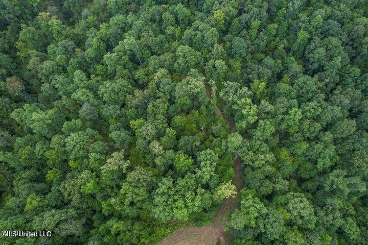 95 Acres of Prime Hunting Property in Hinds County