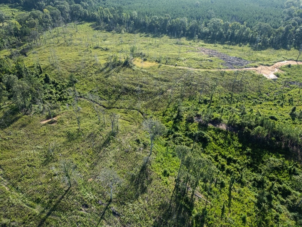 Gloster MS Hunting & Investment Land for Sale – 84 Acres