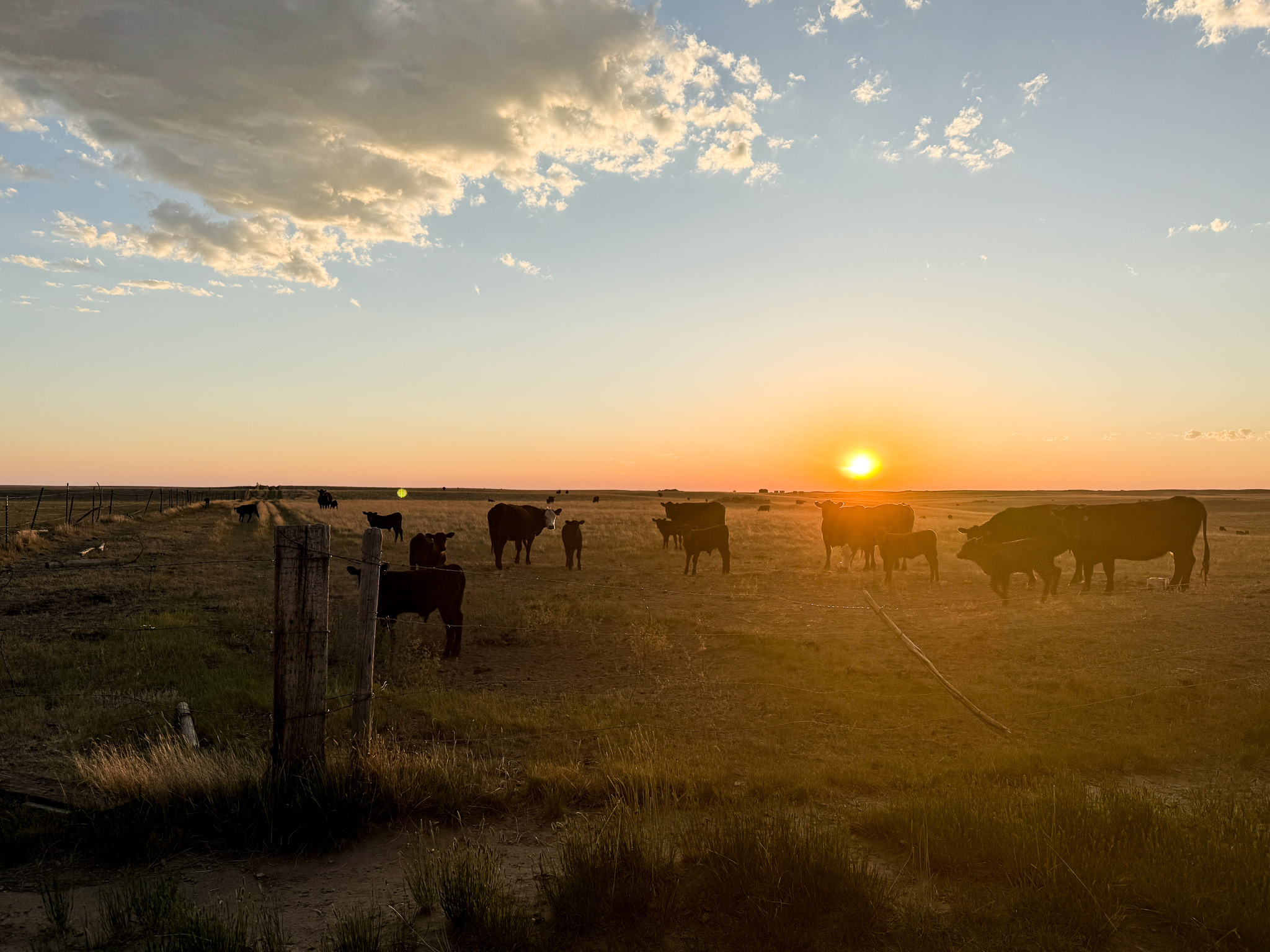 Norman Mavencamp Ranch