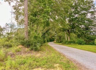 Land for Sale in Amite County, MS