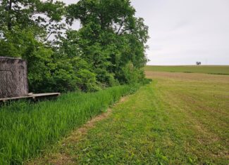 Twenty-One-Acre Hidden Gem in Vernon County WI