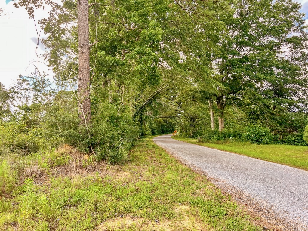 Land for Sale in Amite County, MS