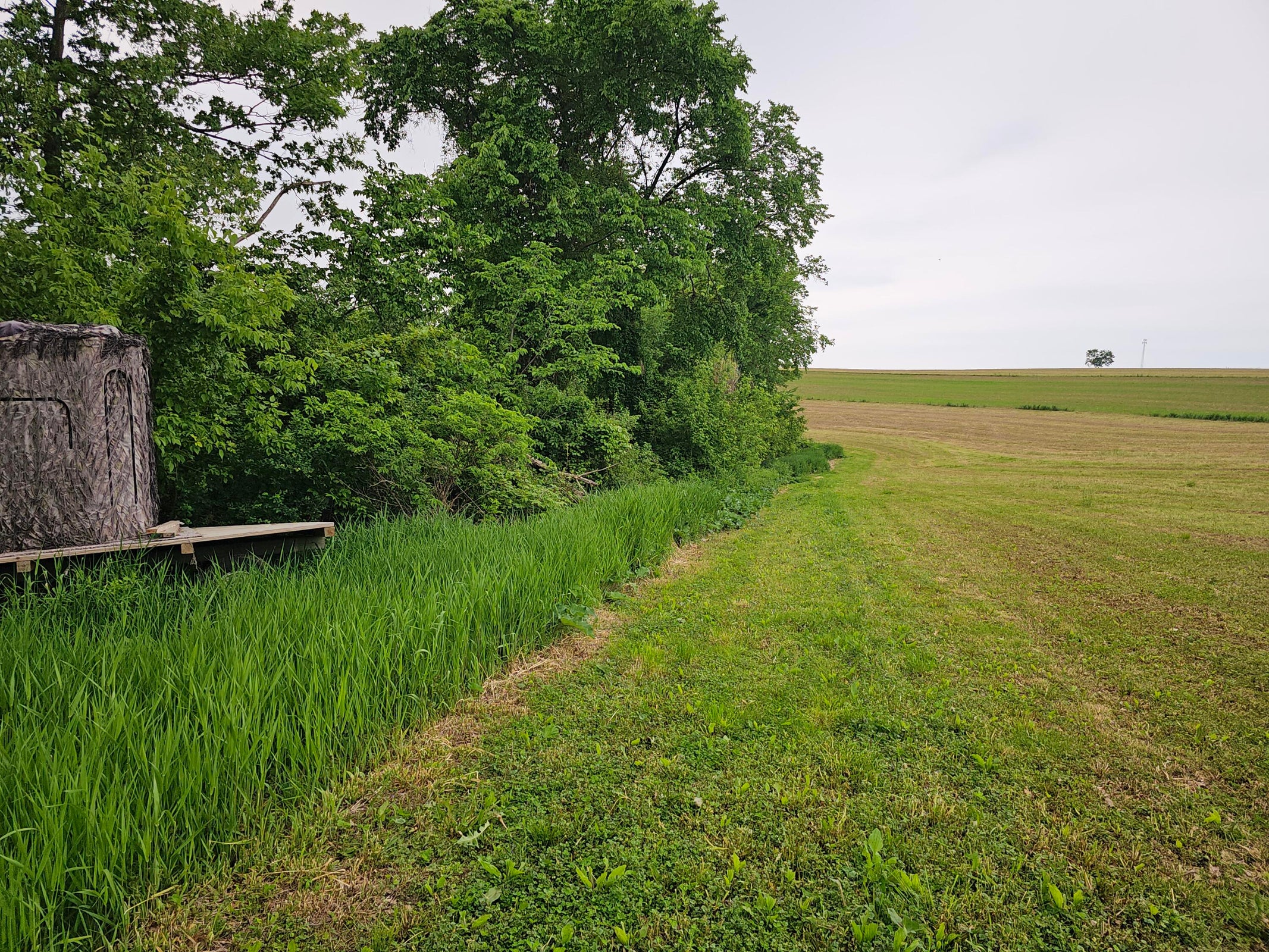 Twenty-One-Acre Hidden Gem in Vernon County WI