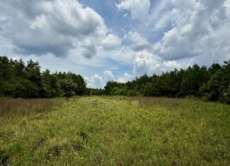 67 Acres For Sale Lawrence County MS