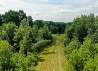 Maine Hunting and Recreational Timberland for Sale | 152± Acres in Carroll Plantation