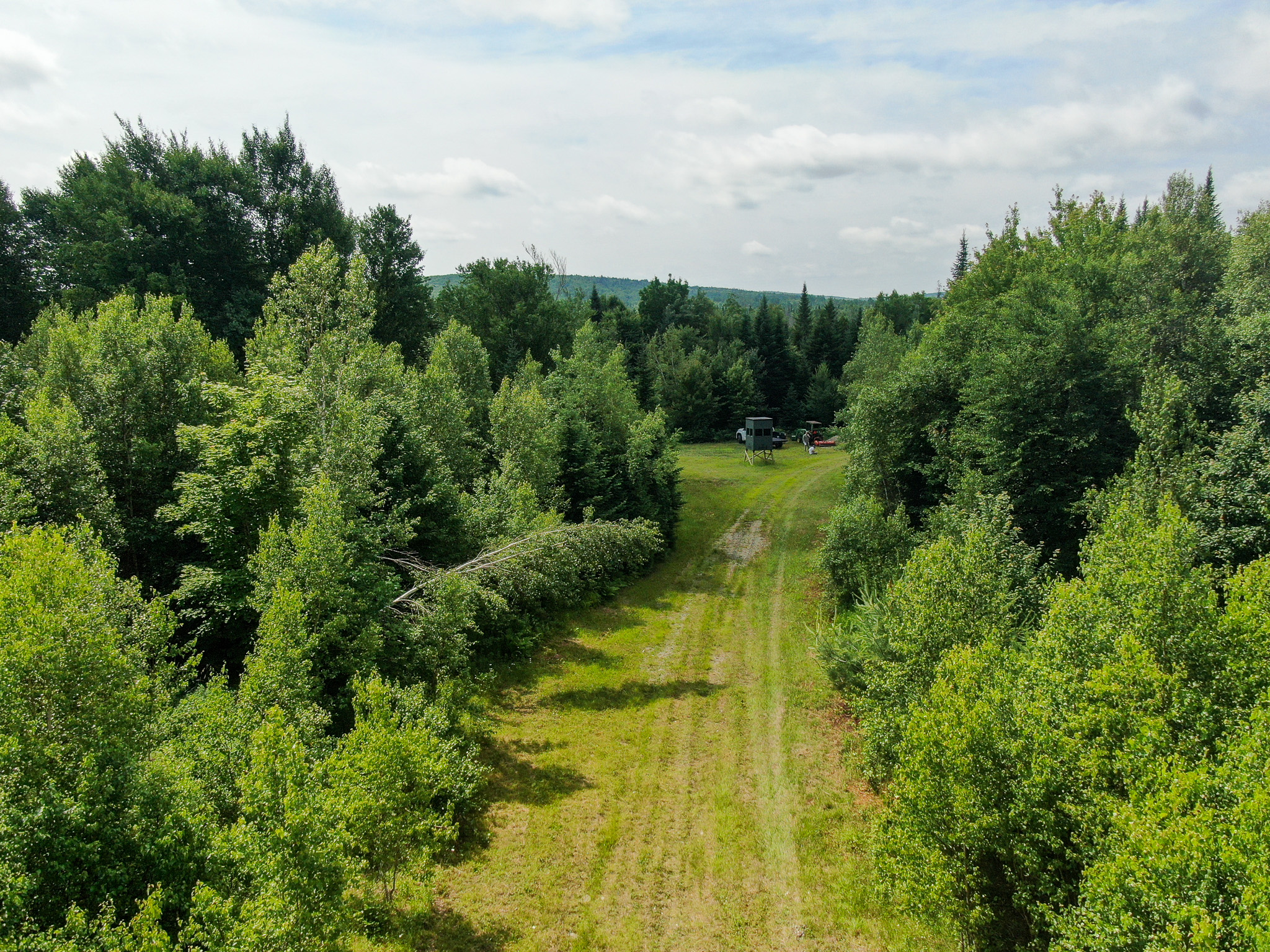 Maine Hunting and Recreational Timberland for Sale | 152± Acres in Carroll Plantation