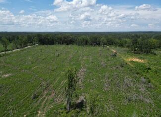 Land for Sale in Amite County, MS