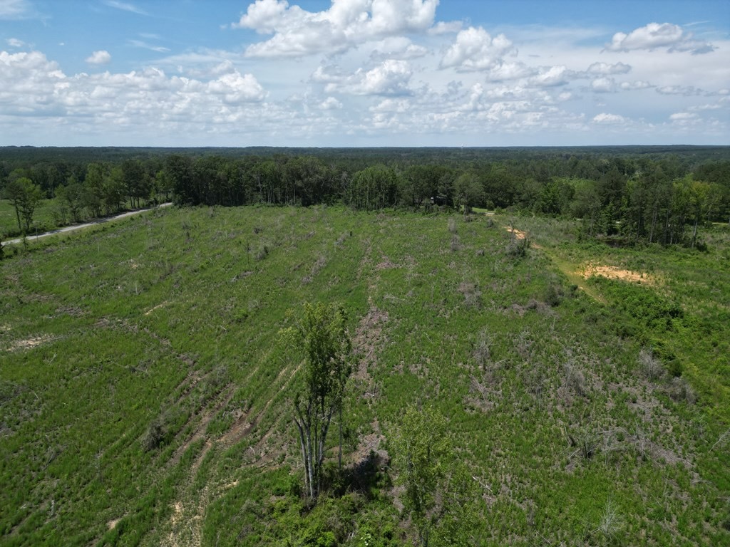 Land for Sale in Amite County, MS