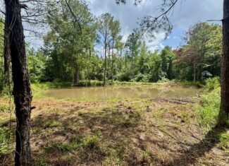 Land for Sale in St. Helena Parish, Louisiana