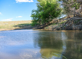 Golden Triangle Farm & Ranch in Hill County, Montana