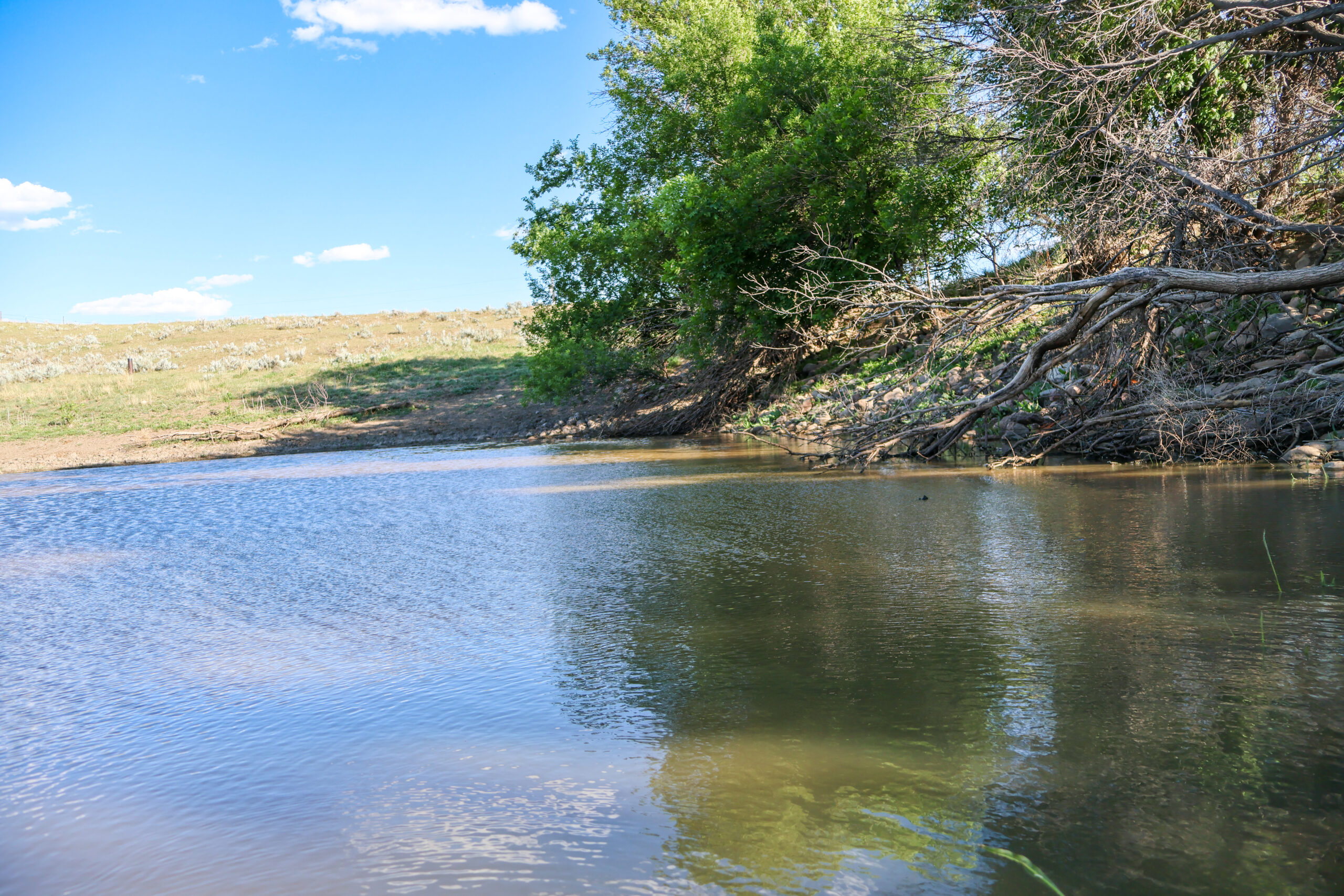 Golden Triangle Farm & Ranch in Hill County, Montana