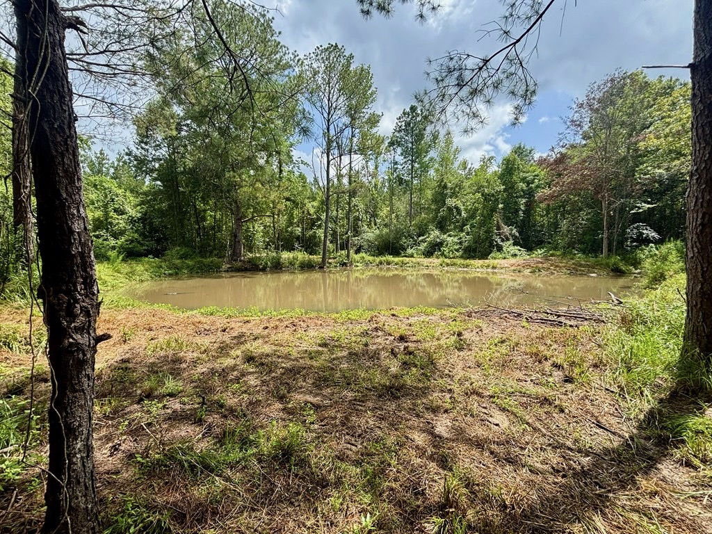 Land for Sale in St. Helena Parish, Louisiana