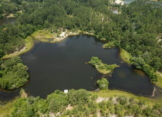 Clear Lake Land in East Feliciana Parish, Louisiana