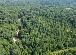 Hunting Land in Claiborne County, MS – The Reagan Tract