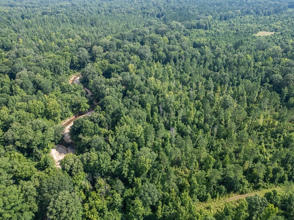 Hunting Land in Claiborne County, MS – The Reagan Tract