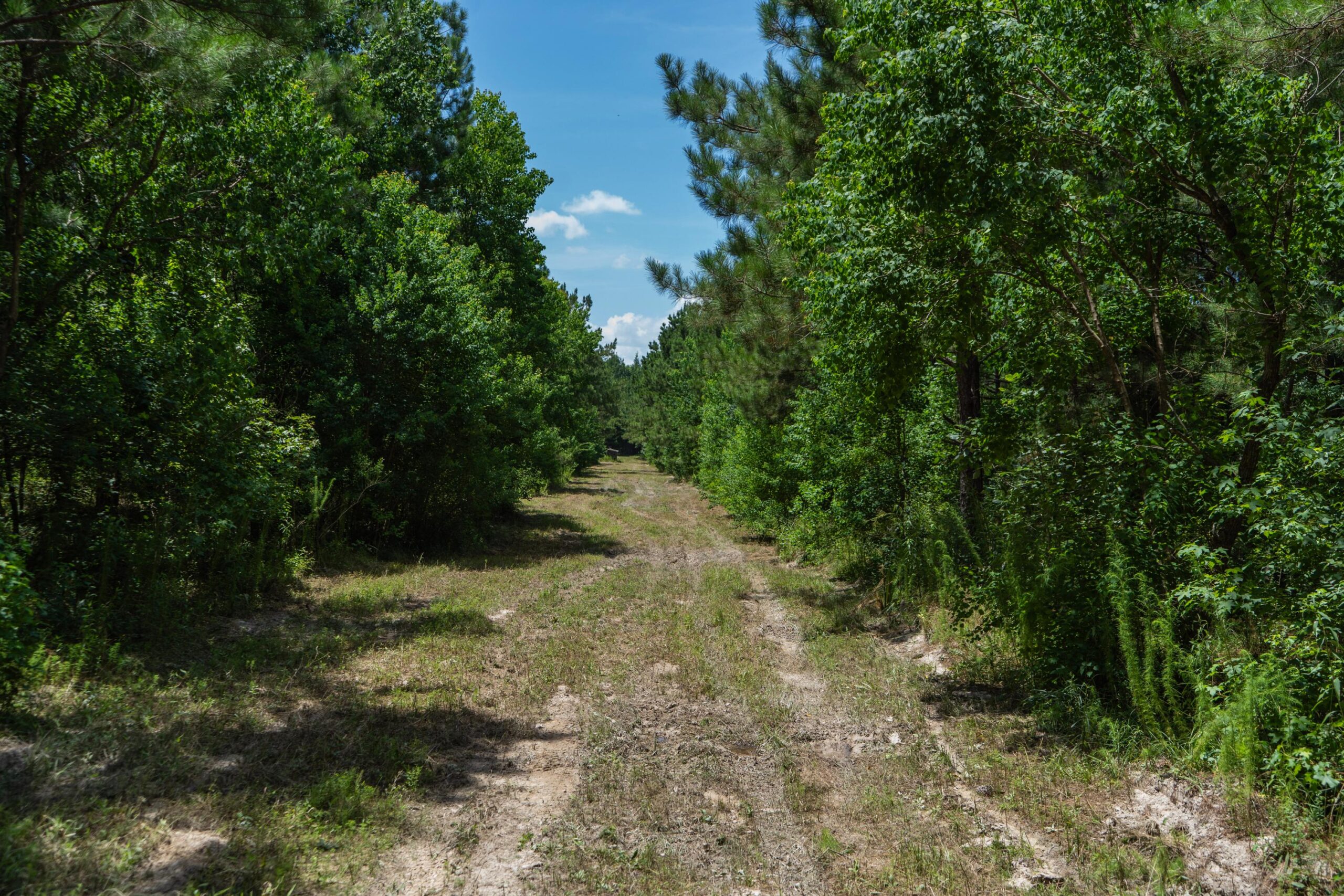 Lapine 216 Multi Use Recreational Timber – Ouachita Parish