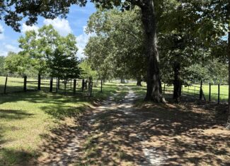 47.7 Acres with Custom Home & Abundant Wildlife