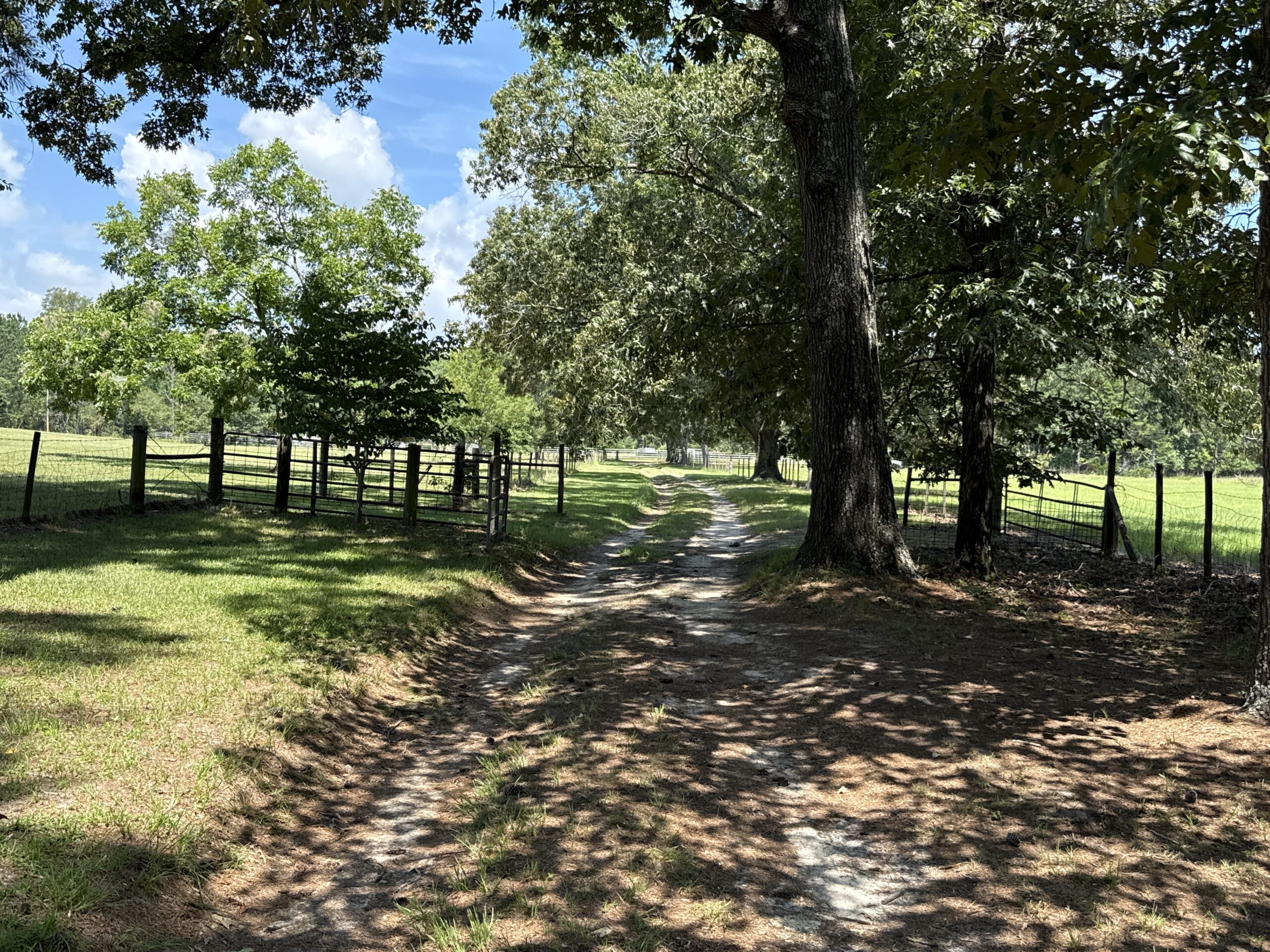 47.7 Acres with Custom Home & Abundant Wildlife