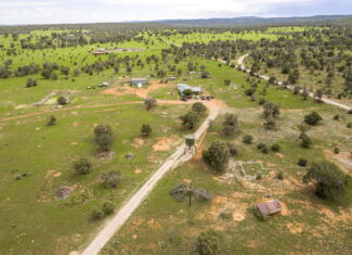 Cattle & Hunting Ranch for Sale in Weed, NM