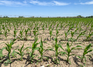 East Malta Irrigated Farm & Ranch – The Hould Property