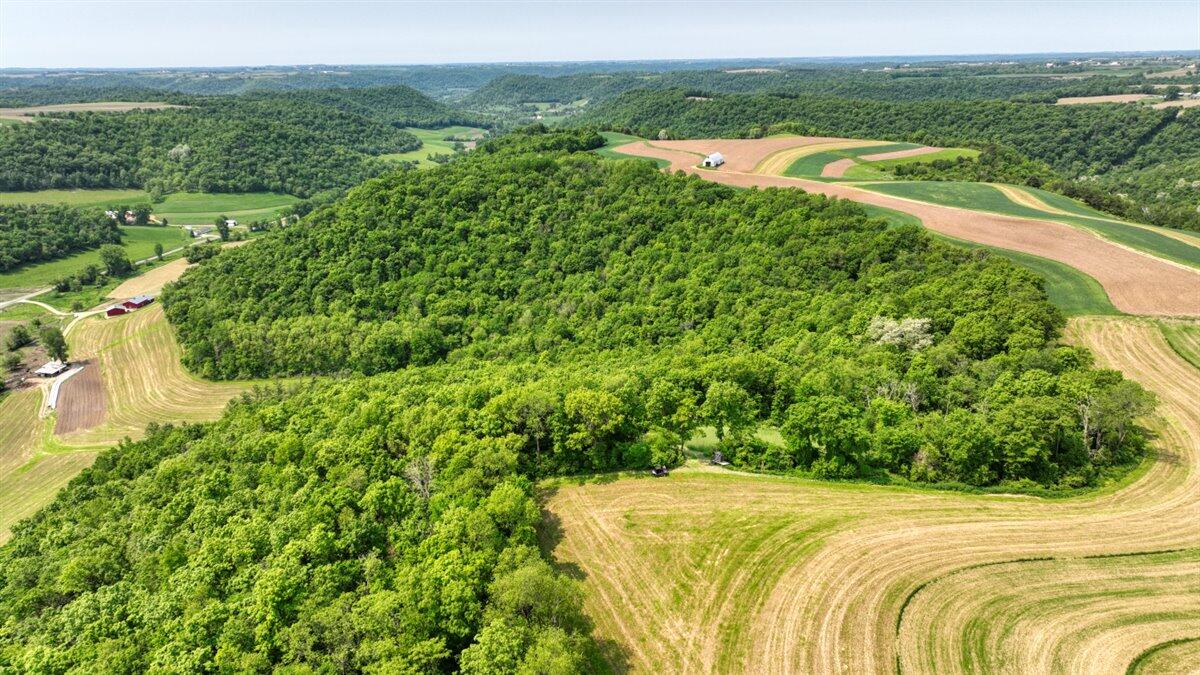 Twenty-One-Acre Hidden Gem in Vernon County WI