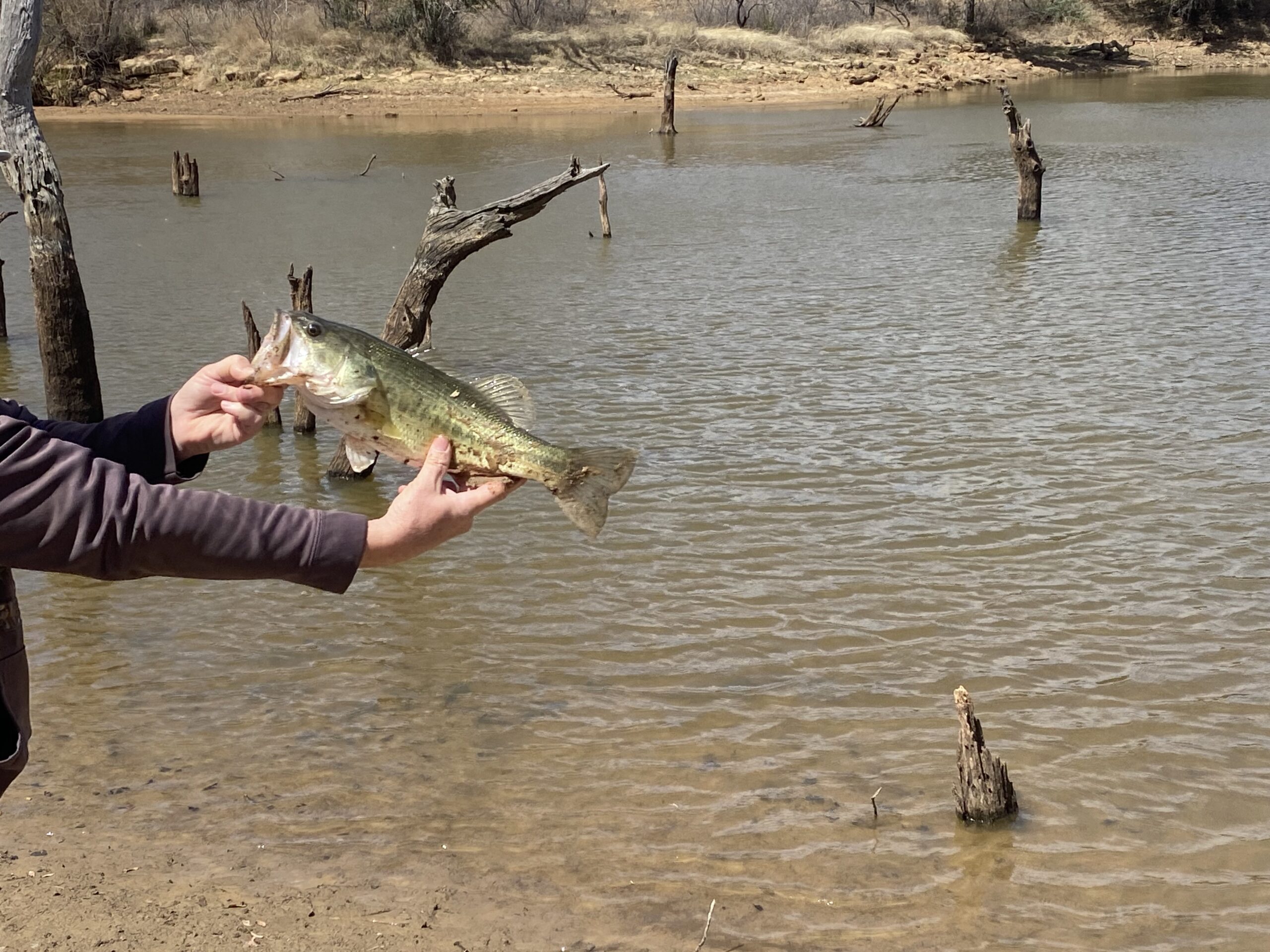 Country Ranch and hunting paradise on 333.17 acres in San Saba County for sale