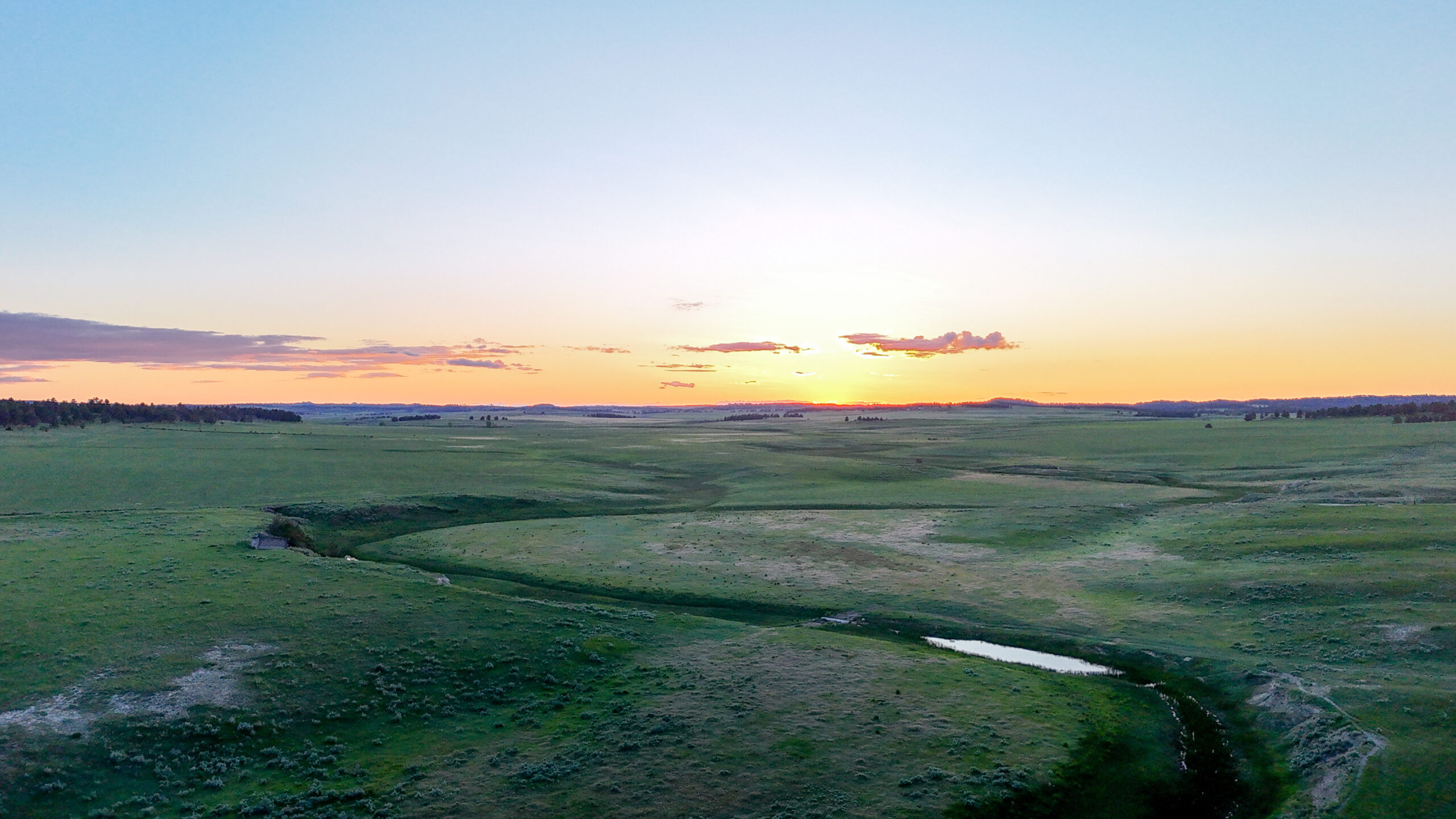 Buffalo Creek Ranch