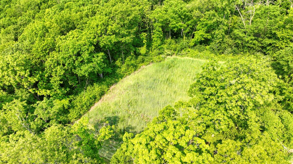 Twenty-One-Acre Hidden Gem in Vernon County WI